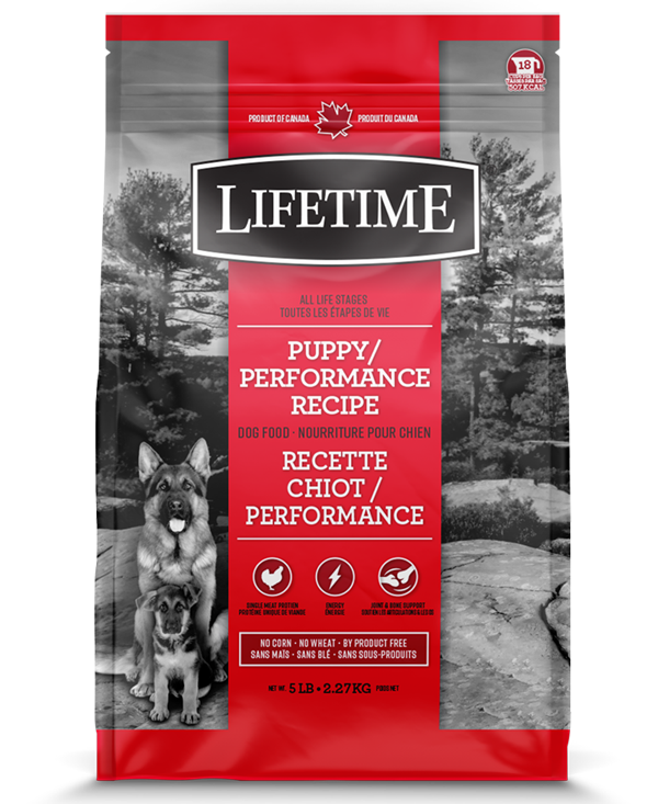 lifetime large breed dog food