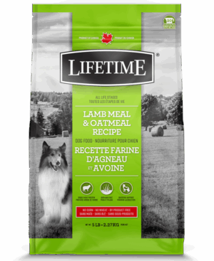 LIFETIME 2.27KG DOG LAMB & OATMEAL