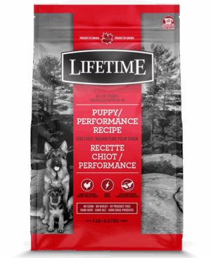 LIFETIME 2.27KG PUPPY & PERFORMANCE CHICKEN & OATMEAL