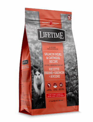 LIFETIME 6.5KG CAT INDOOR SALMON & OATMEAL