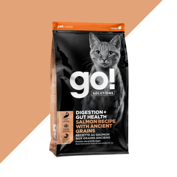 GO SOLUTIONS 3LB CAT DIGESTION & GUT HEALTH SALMON & ANCIENT GRAINS