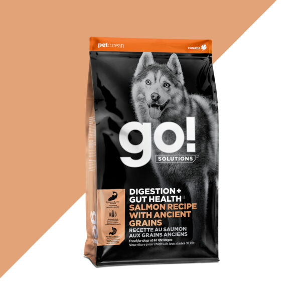 GO SOLUTIONS 12LB DOG DIGESTION & GUT HEALTH SALMON & ANCIENT GRAINS