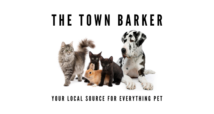 local source for everything pet