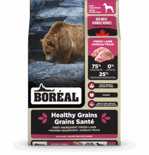 BOREAL 10KG DOG HEALTHY GRAINS LARGE BREED RED MEAT