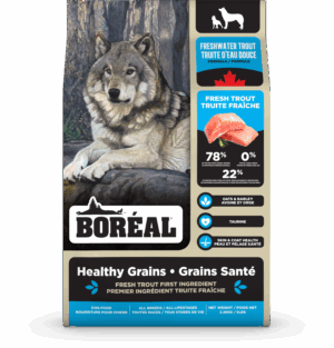 BOREAL 10KG DOG HEALTHY GRAINS FRESH WATER TROUT