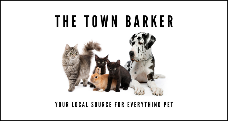 website slider local source for everything pet