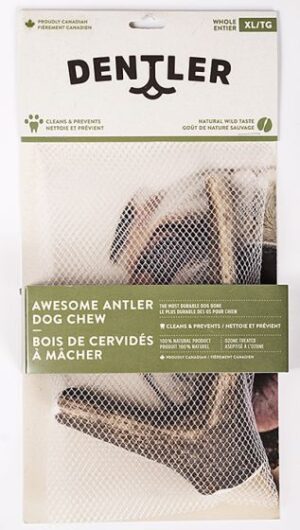 DENTLER WHOLE ANTER DOG CHEW  NATURAL XLARGE