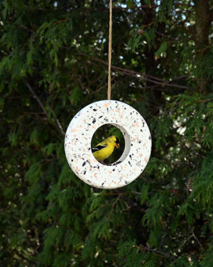 AVISTRY RING BIRD FEEDER