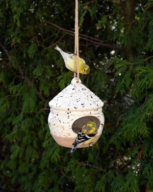 AVISTRY HUT BIRD FEEDER