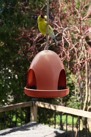 ECO DOME BIRD FEEDER - TERRA