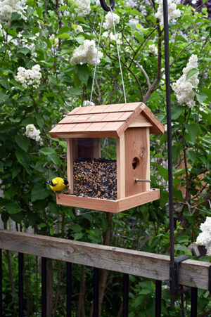 CEDAR BIN FEEDER