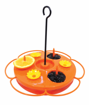ORIOLE TRAY FEEDER