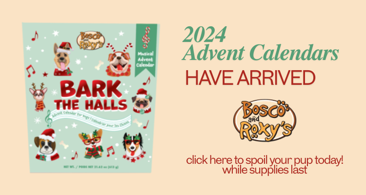 website slider advent calendar 2024