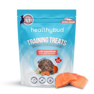 HEALTHYBUD 184G MINI TRAINING TREATS SALMON