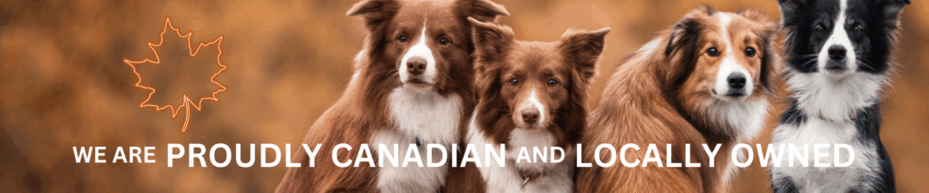 proudly cdn home slider