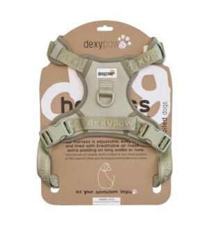 DEXYPAWS NO PULL DOG HARNESS, SAGE GREEN SMALL