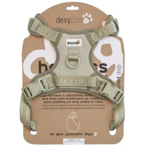 DEXYPAWS NO PULL DOG HARNESS, SAGE GREEN XLARGE