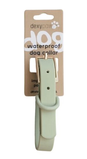 DEXYPAWS WATERPROOF DOG COLLAR, SAGE GREEN SMALL