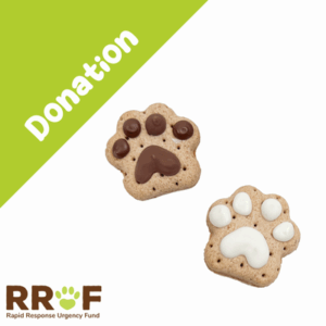 BOSCO & ROXY'S REINDOG DELIGHT PRE-PACKAGED