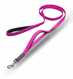 SMELLYDOGZ 6FT DOUBLE HANDLE LEAD 3/4 INCH PINK