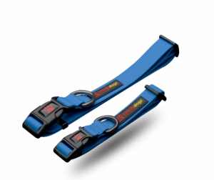 SMELLYDOGZ ADJUSTABLE COLLAR 1 INCH MEDIUM/LARGE BLUE