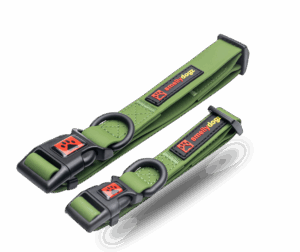 SMELLYDOGZ ADJUSTABLE COLLAR 1 INCH MEDIUM/LARGE GREEN