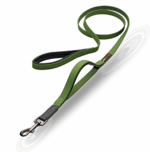 SMELLYDOGZ 6FT DOUBLE HANDLE LEAD 3/4 INCH GREEN