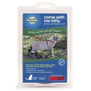 PETSAFE KITTY HARNESS, MEDIUM RED