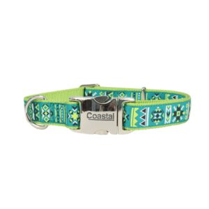 COASTAL RIBBON DOG COLLAR 18"-26" (1") LIME SOUTHWEST STARS