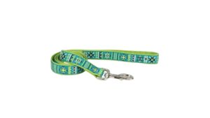 COASTAL RIBBON DOG LEASH 6' (1") LIME SOUTHWEST STARS