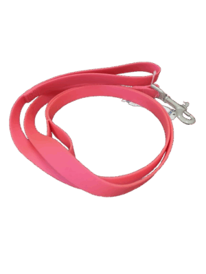LEASH, PRO WATERPROOF 1 X 6' FUCHSIA