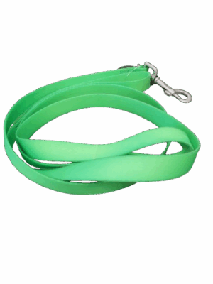 LEASH, PRO WATERPROOF 1 X 6' LIME