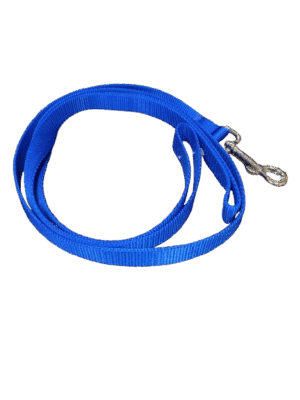 Nylon Web Lead - Blue 1"x6"