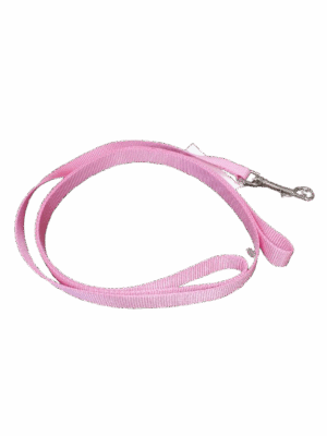 Nylan Web Lead- Pnk Fmgo 1"x6"