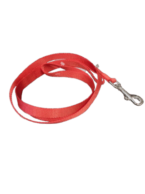 Nylon Web Lead - Red 1"x6"