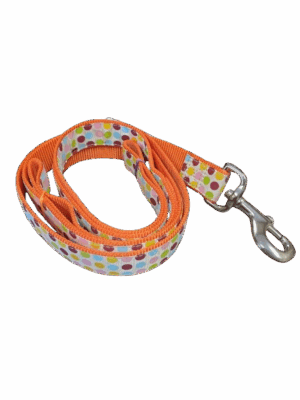 Lead - 6' - 1" Ribbon Overlay Training