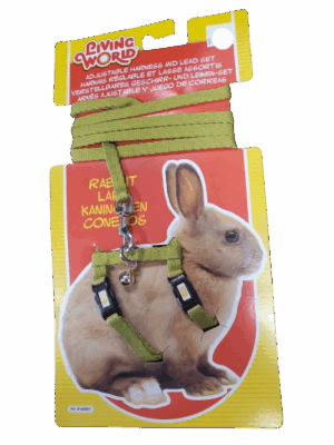 LW Rabbit Harness & Lead