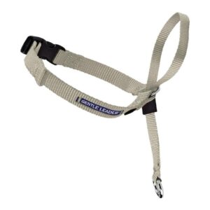 Gentle Leader Large Beige