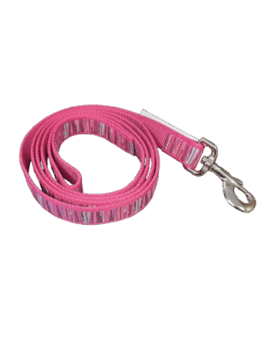 COASTAL RIBBON DOG LEASH 6' (5/8") PINK FLAMINGO STRIPE