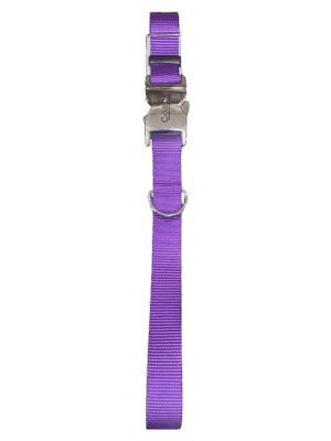 Titan Adj. Collar Purple 14" - 20"