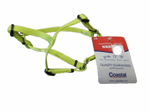 Harness - 3/8" Adj Lime