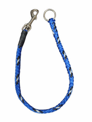 EZYDOG STRD EXT LEASH 24" BLUE