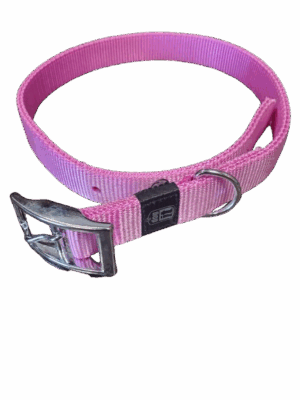 Collar - Nylon w/ Buckle - Double Ply