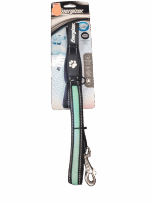 Leash - Energizer Blaze 4' / Green  *****