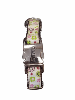 Collar - xs 8"-12" (5/8") Ribbon Overlay w/Metal Buckle