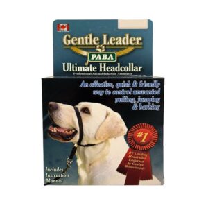 Gentle Leader Medium Black