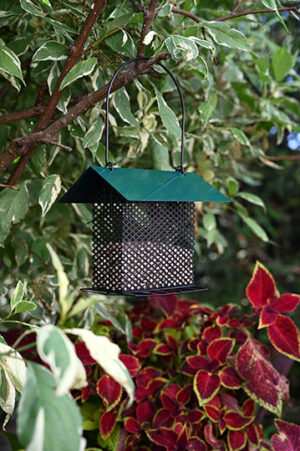SHELTERED SHELLED SUNFLOWER SEED BIRD FEEDER