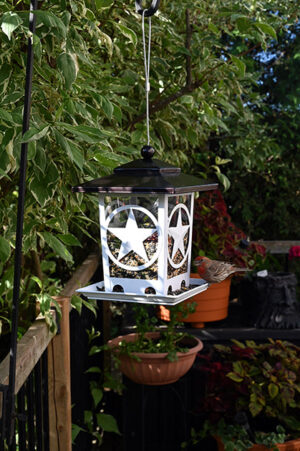 STAR BIN BIRD FEEDER