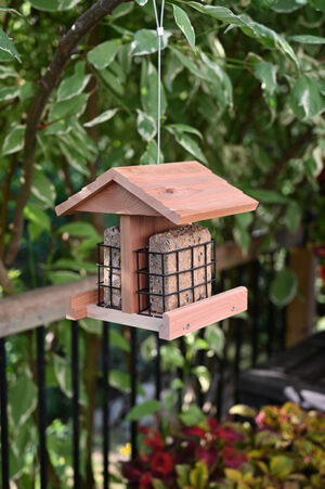 RUSTIC SHELTERED DOUBLE SUET CAKE FEEDER