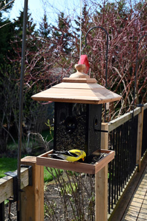 BACKYARD WOOD BIN BIRD FEEDER